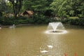 Jurong Bird Park in Singapore Royalty Free Stock Photo