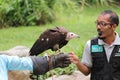 Jurong Bird Park - trained Vulture performing show - Singapore tourism Royalty Free Stock Photo