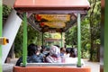 Jurong Bird Park Singapore Tram Final Flight