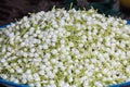 jusmine flower Royalty Free Stock Photo