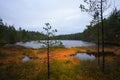 Jussi hiking trail - Black lake in autumn glow. Royalty Free Stock Photo