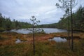 Jussi hiking trail - Black lake in autumn glow. Royalty Free Stock Photo