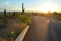 Morning light on desert road cactus landscape Royalty Free Stock Photo