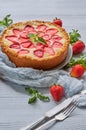 Just baked homemade strawberry cheesecake on the gray background decorated with fresh strawberries, mint leaf, gray cloth Royalty Free Stock Photo