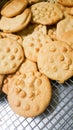 Just baked malt biscuits