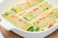 Just baked spinach and cheese cannelloni Royalty Free Stock Photo