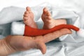 Just born baby feet in mother arms while sleeping Royalty Free Stock Photo