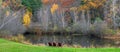 Just Chillin at the Pond - Clinton, Ma by Eric L. Johnson Photography