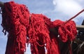 Just colored fabrics lined up in the sun