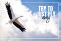 Try to just fly away Royalty Free Stock Photo