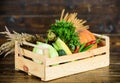 Just from garden. Delivery service fresh vegetables from farm. Box or basket harvest vegetables wooden background Royalty Free Stock Photo