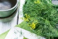 Just harvested bunch of fresh dills in bowl on green towel on wooden table in summer time, cut dill leaves for flavouring food