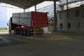 Just harvested corn inside a trailer. Grain poured from trailer into a silo for processing Royalty Free Stock Photo