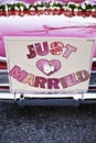 Just Married Royalty Free Stock Photo