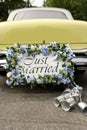 Just Married Royalty Free Stock Photo