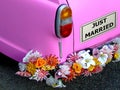 Just married Royalty Free Stock Photo