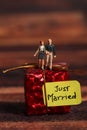 Just married Royalty Free Stock Photo