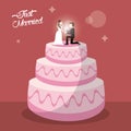 just married cake dessert