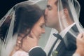 Just married couple kiss standing under a veil in the shine of m Royalty Free Stock Photo