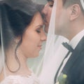 Groom kissing bride`s neck under the veil Royalty Free Stock Photo