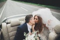 Just married couple in the luxury retro car on their wedding day Royalty Free Stock Photo