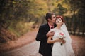 Just married couple posing in an autumn park Royalty Free Stock Photo