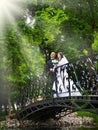 Just married couple releasing a white dove Royalty Free Stock Photo