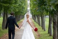 Just Married Couple Walking Down The Parkway Royalty Free Stock Photo