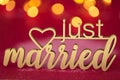 just married inscription on a pink fuchsia background with golden bokeh.wedding symbol.Holiday of love and family