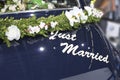 Just married Royalty Free Stock Photo