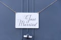 Just married Royalty Free Stock Photo