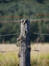 Just a old fence post Royalty Free Stock Photo