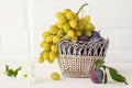 Just picked plums and grapes in wicker basket on white backdrop Royalty Free Stock Photo