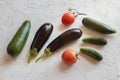 Just picked vegetables on white structured background Royalty Free Stock Photo