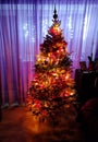 Just ready Christmas Tree Royalty Free Stock Photo