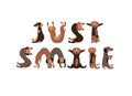 Just smile. Dachshund dogs letters Royalty Free Stock Photo