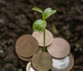 Just sprouted trough the different metal coins green shoot. Concept Royalty Free Stock Photo