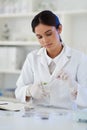 Just to snip and trim this before testing. a young scientist working with plant samples in a lab.