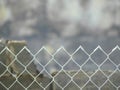 The top of a chain link fence. Behind it, a building recently destroyed by fire. Keeping out the curiosity seekers. Royalty Free Stock Photo