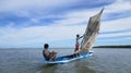 Just for your eyes. Two sea wolfs sailing by with a traditional boat at Bainema, Morere, Bahia State, Brazil