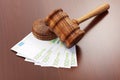 Justice gavel on euro banknotes Royalty Free Stock Photo