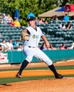 Justin Kamplain, Charleston RiverDogs Royalty Free Stock Photo