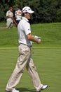 Justin Rose surveys the Green Royalty Free Stock Photo