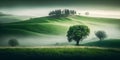 Rolling Hills of Tuscany, countryside Landscape View, Panorama, Panorama