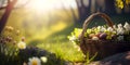 Basket of spring flowers and easter eggs in golden morning light