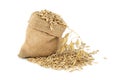 Jute bag filled with whole oats grains with husk Royalty Free Stock Photo