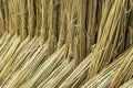 Jute sticks are dried in yards of households in villages, metal purposes Royalty Free Stock Photo