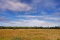 Jutland, wilderness landscape on sunny day with forest in far