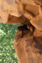 Playful Juvenile baboons, rock face playground