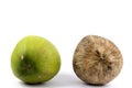 Juxtapose - Differences in the age Coconut Royalty Free Stock Photo